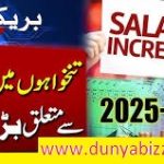 federal government employees ke liye 2025 ke revised pay scale ka table. Table mein basic pay, 10% Adhoc Relief Allowance, 30% Disparity Reduction Allowance aur total salary increase mukhtalif stages (Initial se 30th stage tak) ke liye dikhaya gaya hai."