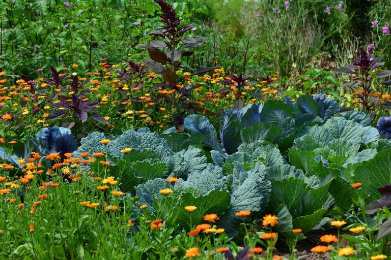 Easy Indoor Herb Garden for Beginners | How to Grow Fresh Herbs at Home